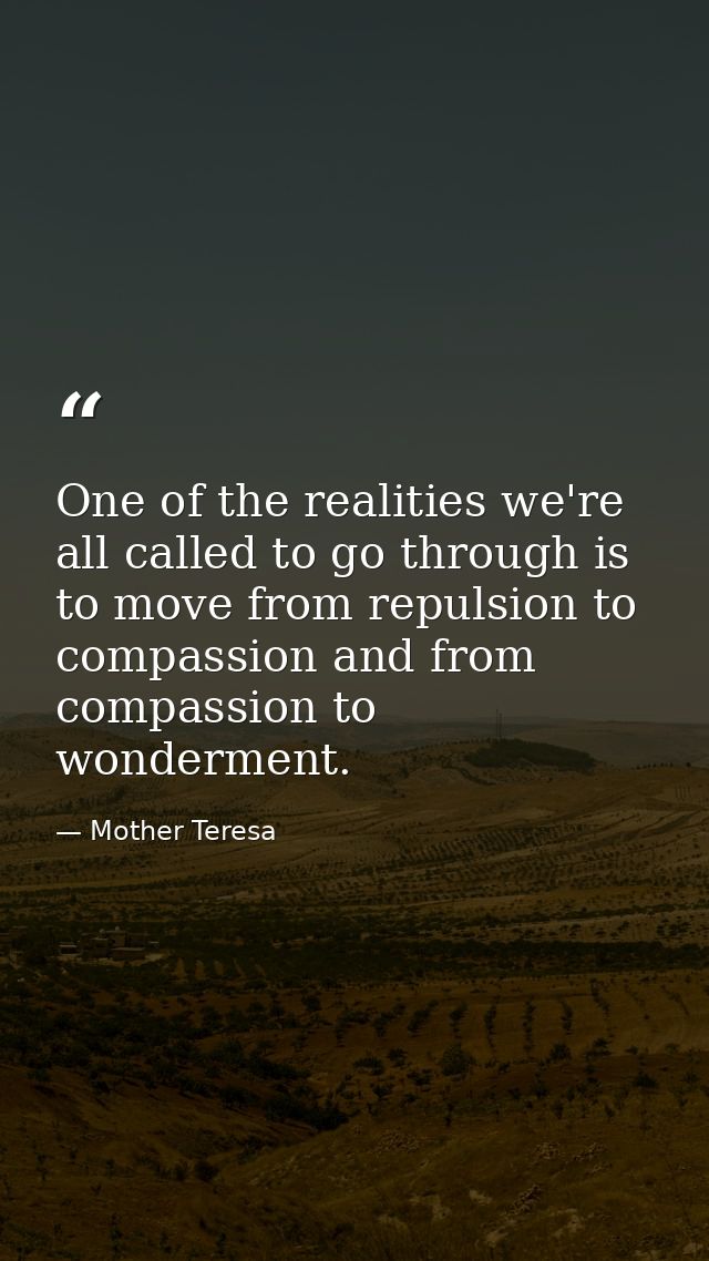 One of the realities we're all called to go through is to move from repulsion to compassion and from compassion to wonde — Mother Teresa