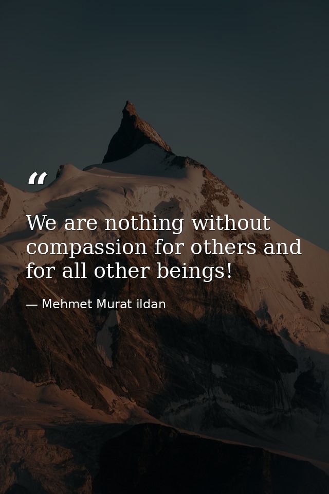 We are nothing without compassion for others and for all other beings! — Mehmet Murat ildan
