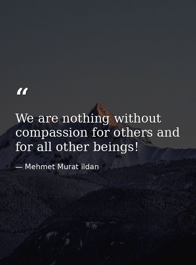 We are nothing without compassion for others and for all other beings! — Mehmet Murat ildan
