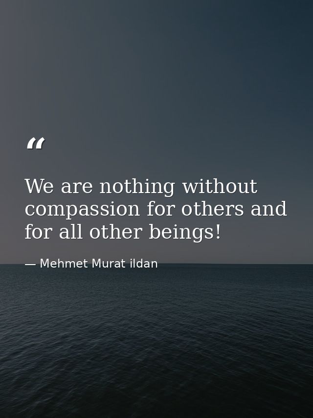 We are nothing without compassion for others and for all other beings! — Mehmet Murat ildan