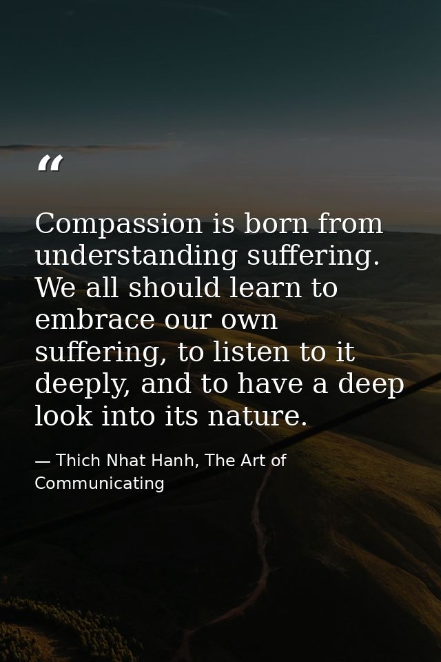 Compassion is born from understanding suffering. We all should learn to embrace our own suffering, to listen to it deepl — Thich Nhat Hanh, The Art of Communicating