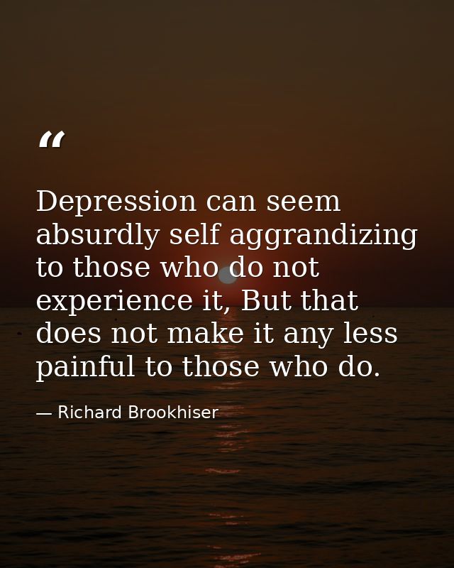 Depression can seem absurdly self aggrandizing to those who do not experience it, But that does not make it any less pai — Richard Brookhiser