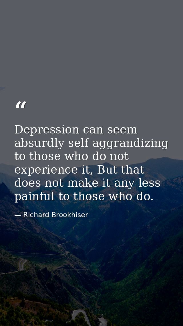 Depression can seem absurdly self aggrandizing to those who do not experience it, But that does not make it any less pai — Richard Brookhiser