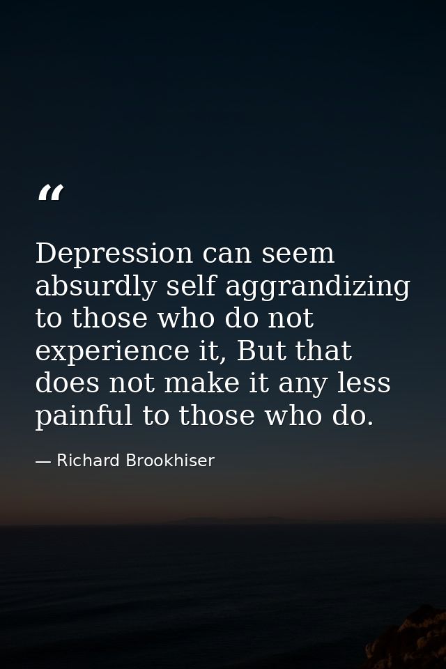 Depression can seem absurdly self aggrandizing to those who do not experience it, But that does not make it any less pai — Richard Brookhiser