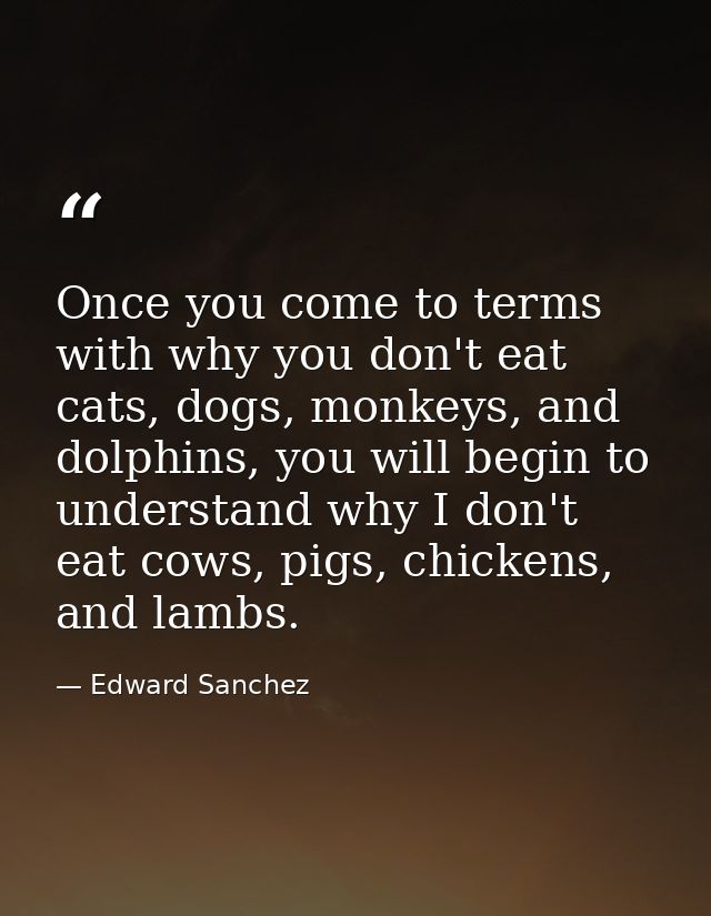 Once you come to terms with why you don't eat cats, dogs, monkeys, and dolphins, you will begin to understand why I don' — Edward Sanchez