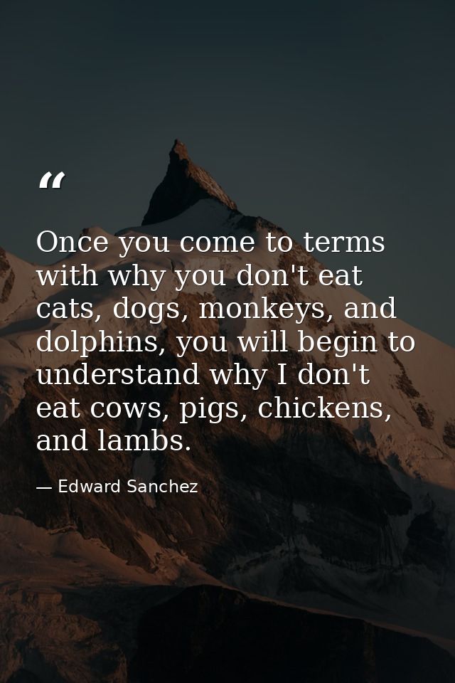 Once you come to terms with why you don't eat cats, dogs, monkeys, and dolphins, you will begin to understand why I don' — Edward Sanchez