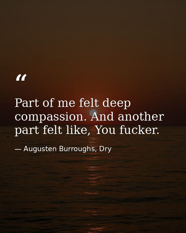 Part of me felt deep compassion. And another part felt like, You fucker. — Augusten Burroughs, Dry