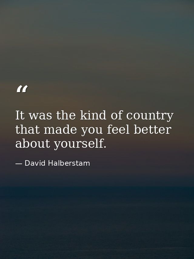 It was the kind of country that made you feel better about yourself. — David Halberstam