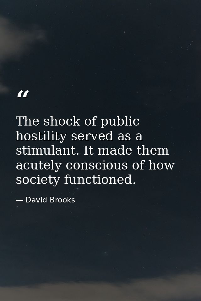 The shock of public hostility served as a stimulant. It made them acutely conscious of how society functioned. — David Brooks