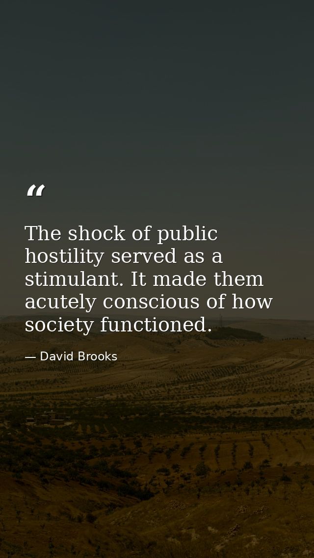 The shock of public hostility served as a stimulant. It made them acutely conscious of how society functioned. — David Brooks