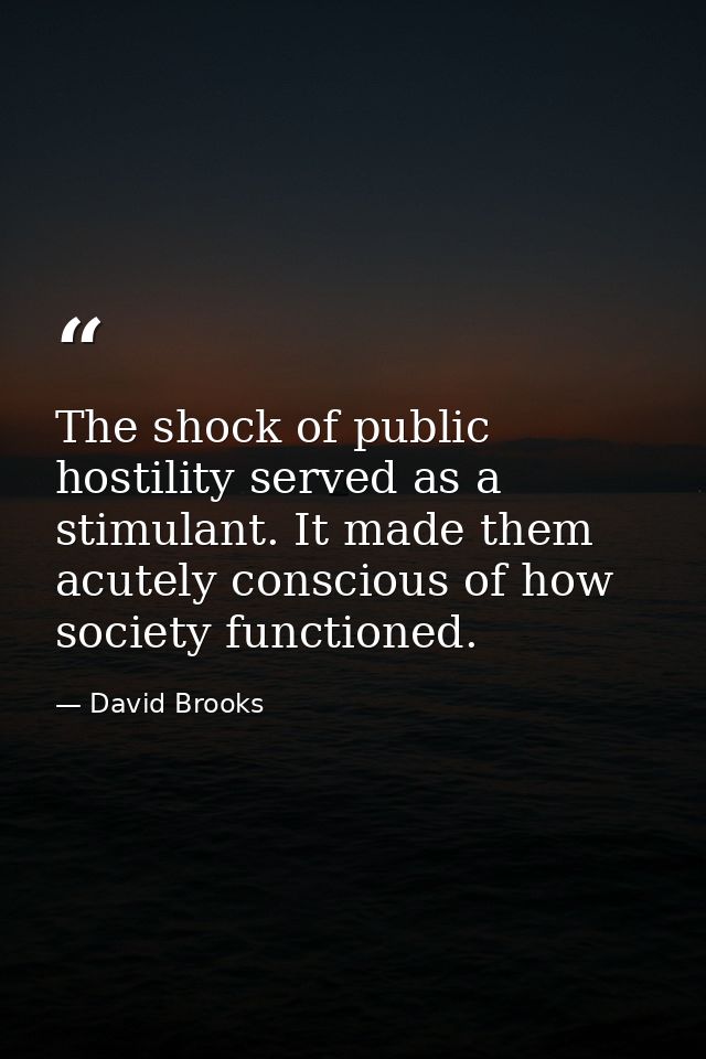 The shock of public hostility served as a stimulant. It made them acutely conscious of how society functioned. — David Brooks