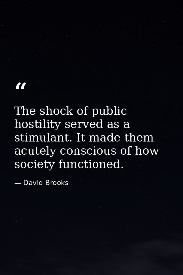The shock of public hostility served as a stimulant. It made them acutely conscious of how society functioned. — David Brooks