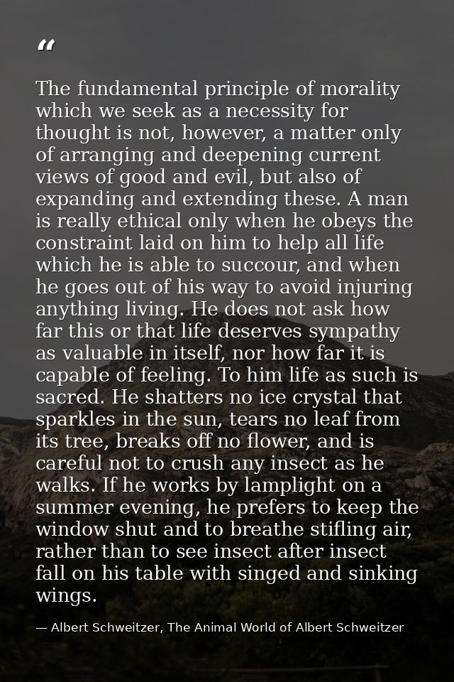 The fundamental principle of morality which we seek as a necessity for thought is not, however, a matter only of arrangi — Albert Schweitzer, The Animal World of Albert Schweitzer