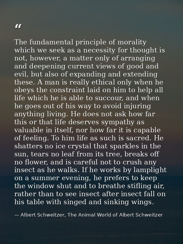 The fundamental principle of morality which we seek as a necessity for thought is not, however, a matter only of arrangi — Albert Schweitzer, The Animal World of Albert Schweitzer