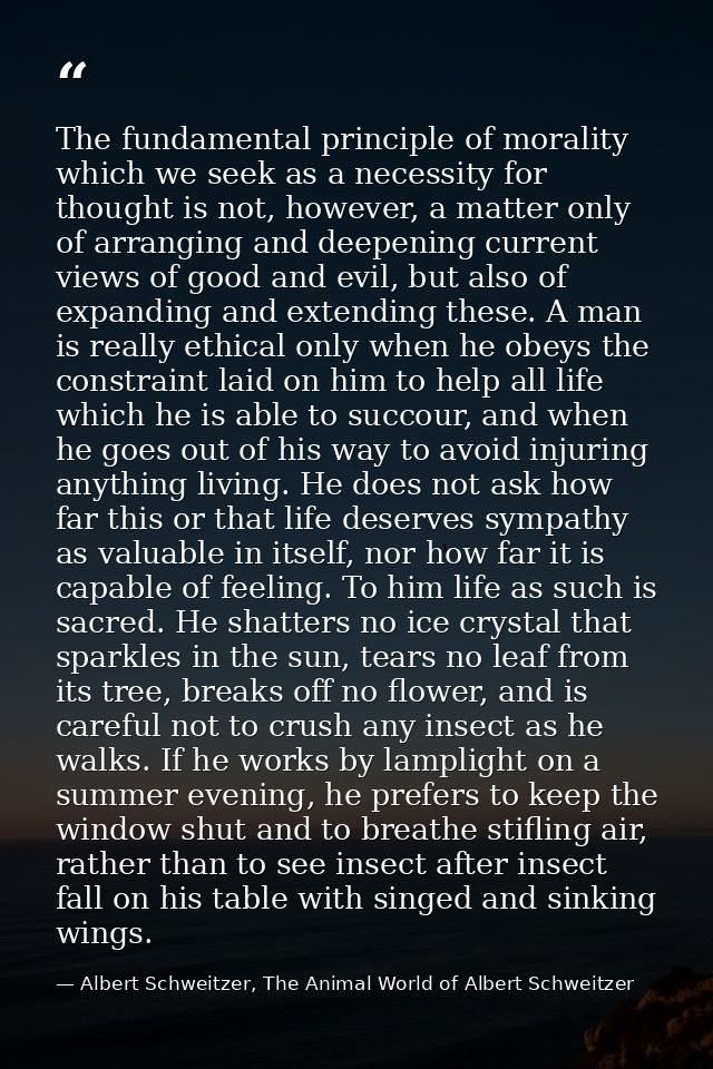 The fundamental principle of morality which we seek as a necessity for thought is not, however, a matter only of arrangi — Albert Schweitzer, The Animal World of Albert Schweitzer