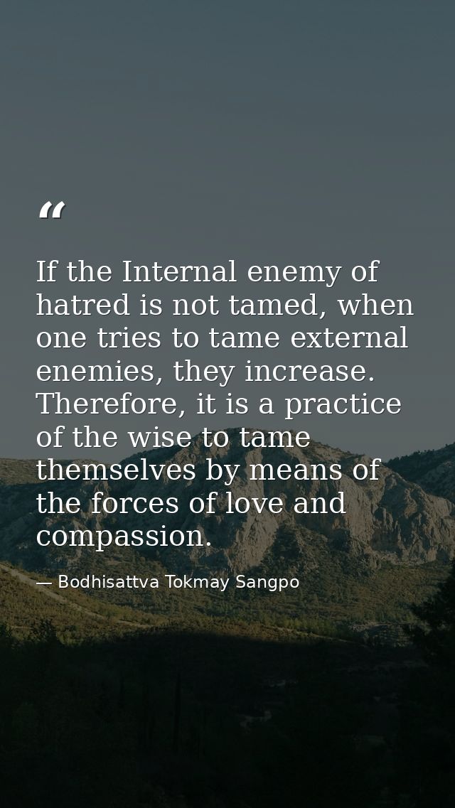 If the Internal enemy of hatred is not tamed, when one tries to tame external enemies, they increase. Therefore, it is a — Bodhisattva Tokmay Sangpo