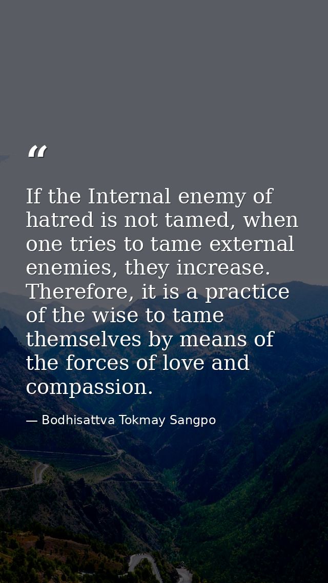 If the Internal enemy of hatred is not tamed, when one tries to tame external enemies, they increase. Therefore, it is a — Bodhisattva Tokmay Sangpo