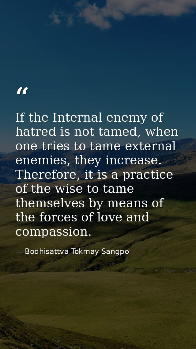 If the Internal enemy of hatred is not tamed, when one tries to tame external enemies, they increase. Therefore, it is a — Bodhisattva Tokmay Sangpo