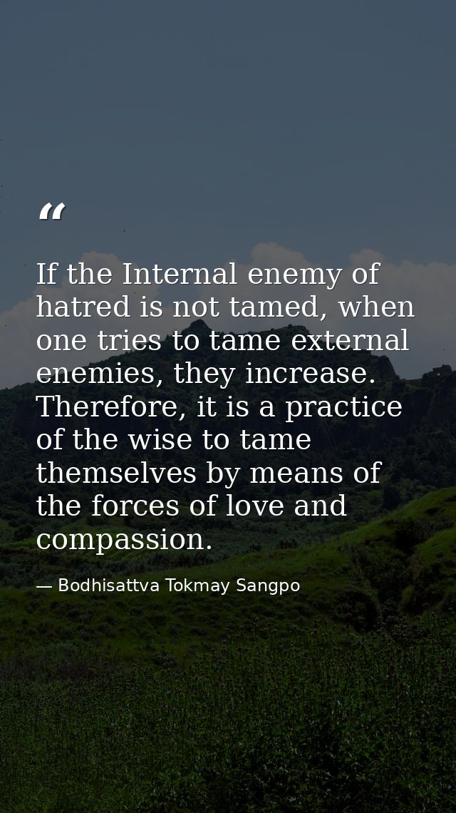 If the Internal enemy of hatred is not tamed, when one tries to tame external enemies, they increase. Therefore, it is a — Bodhisattva Tokmay Sangpo