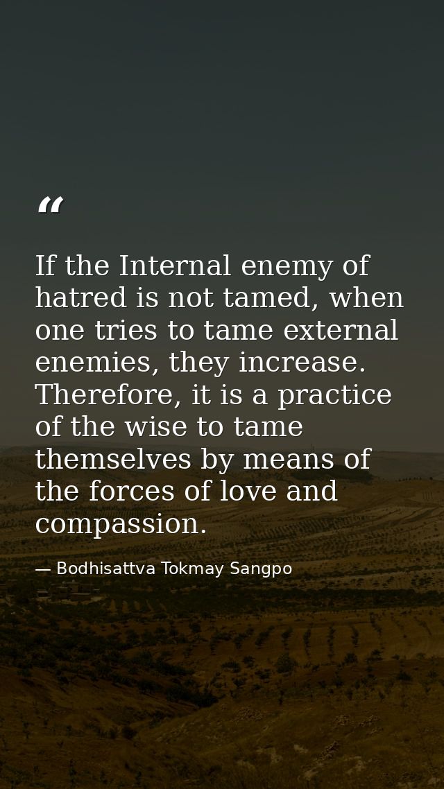 If the Internal enemy of hatred is not tamed, when one tries to tame external enemies, they increase. Therefore, it is a — Bodhisattva Tokmay Sangpo