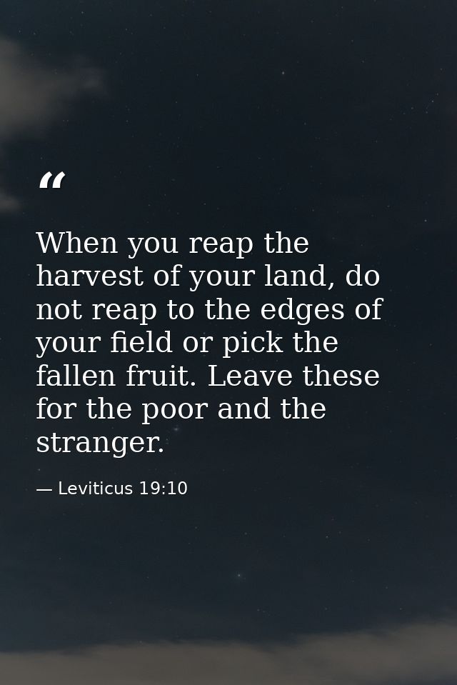 When you reap the harvest of your land, do not reap to the edges of your field or pick the fallen fruit. Leave these for — Leviticus 19:10