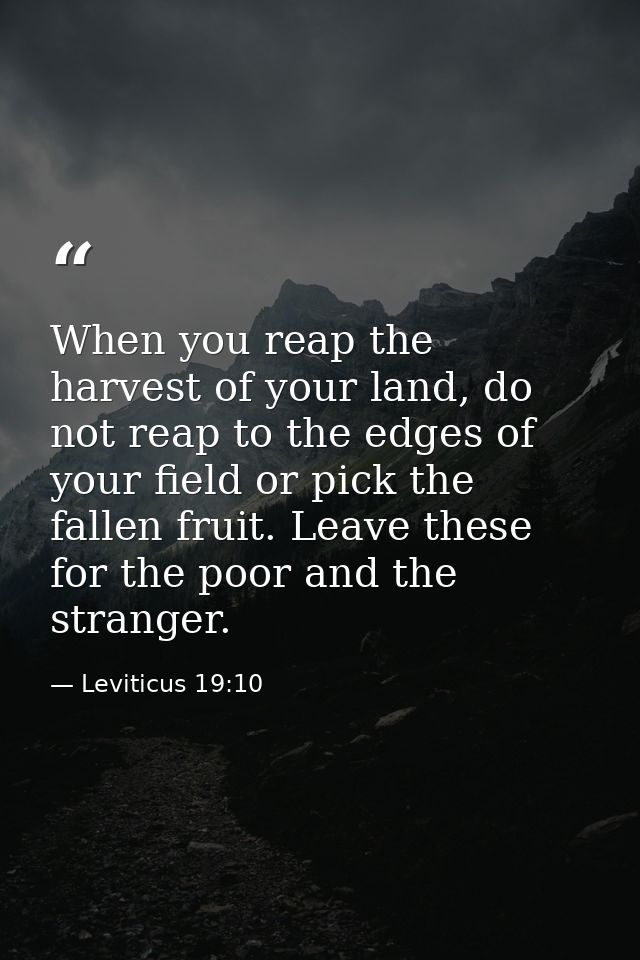 When you reap the harvest of your land, do not reap to the edges of your field or pick the fallen fruit. Leave these for — Leviticus 19:10