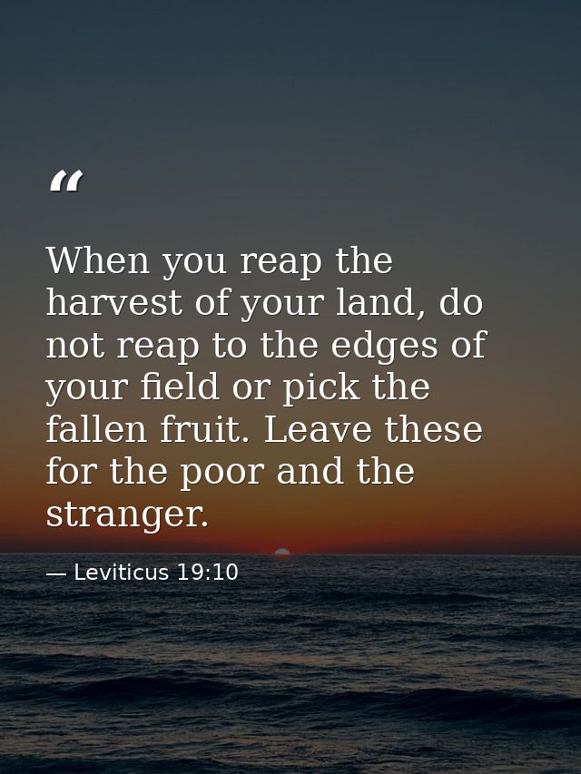 When you reap the harvest of your land, do not reap to the edges of your field or pick the fallen fruit. Leave these for — Leviticus 19:10