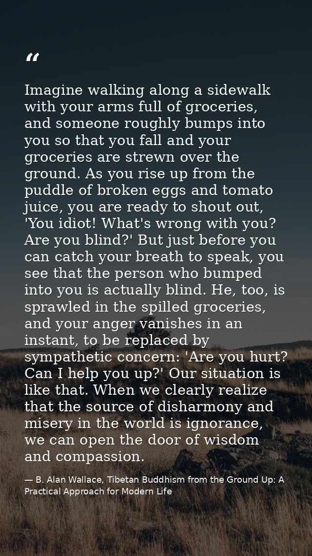 Imagine walking along a sidewalk with your arms full of groceries, and someone roughly bumps into you so that you fall a — B. Alan Wallace, Tibetan Buddhism from the Ground Up: A Practical Approach for Modern Life