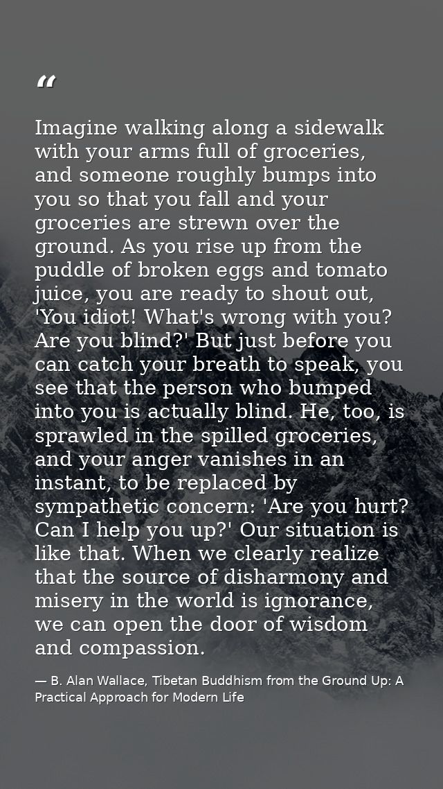 Imagine walking along a sidewalk with your arms full of groceries, and someone roughly bumps into you so that you fall a — B. Alan Wallace, Tibetan Buddhism from the Ground Up: A Practical Approach for Modern Life