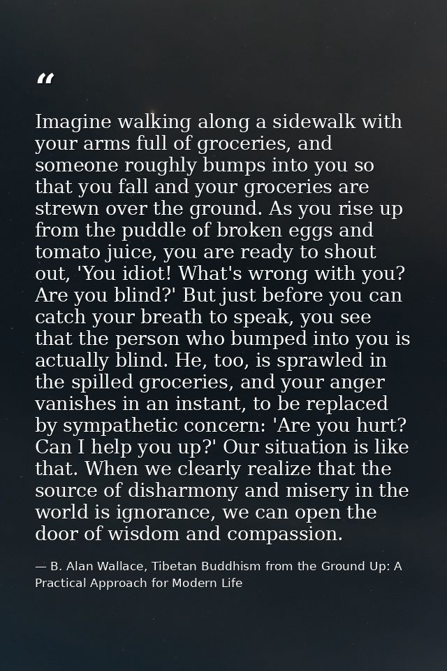 Imagine walking along a sidewalk with your arms full of groceries, and someone roughly bumps into you so that you fall a — B. Alan Wallace, Tibetan Buddhism from the Ground Up: A Practical Approach for Modern Life