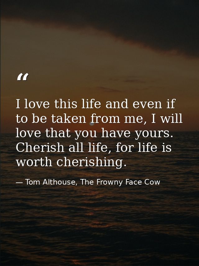 I love this life and even if to be taken from me, I will love that you have yours. Cherish all life, for life is worth c — Tom Althouse, The Frowny Face Cow