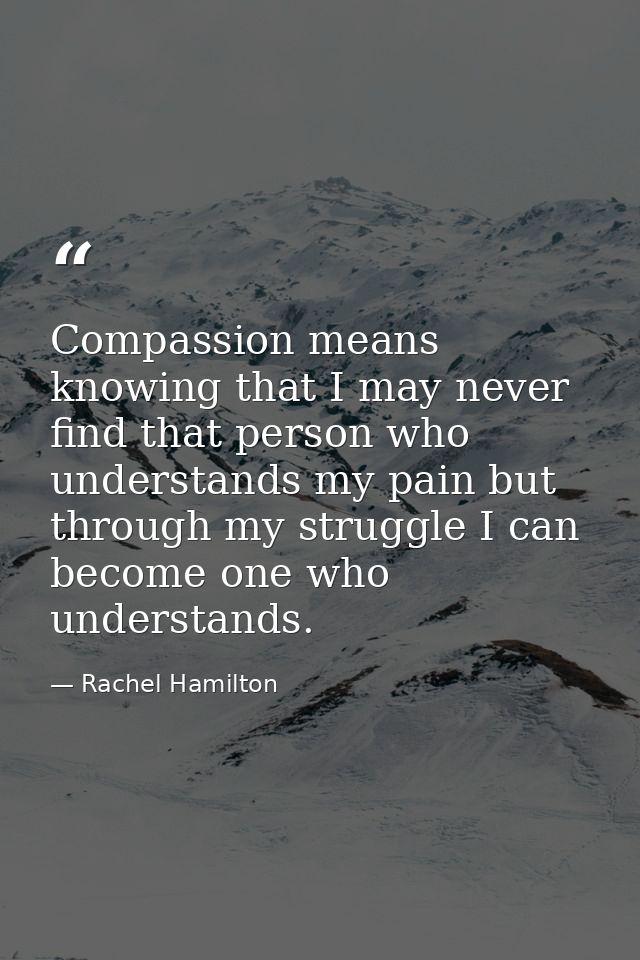Compassion means knowing that I may never find that person who understands my pain but through my struggle I can become  — Rachel Hamilton