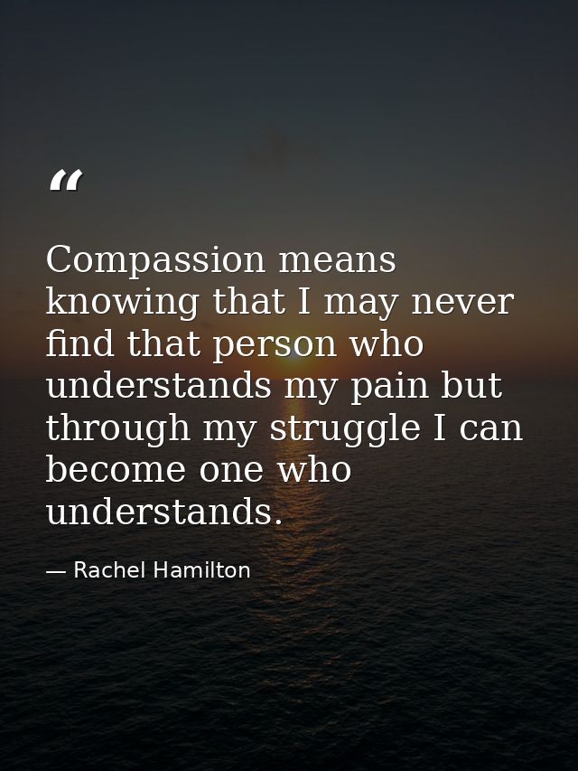 Compassion means knowing that I may never find that person who understands my pain but through my struggle I can become  — Rachel Hamilton