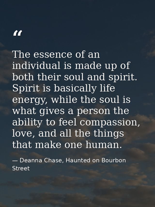 The essence of an individual is made up of both their soul and spirit. Spirit is basically life energy, while the soul i — Deanna Chase, Haunted on Bourbon Street