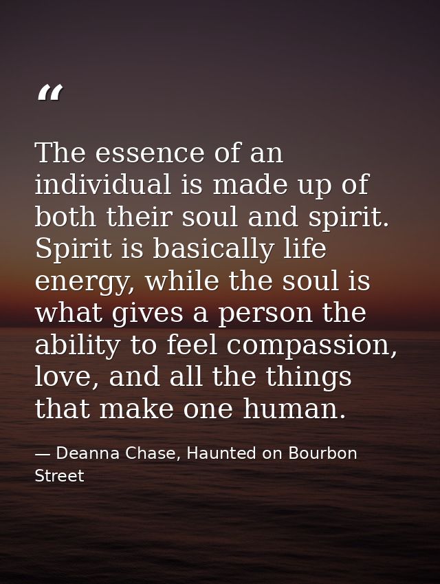 The essence of an individual is made up of both their soul and spirit. Spirit is basically life energy, while the soul i — Deanna Chase, Haunted on Bourbon Street