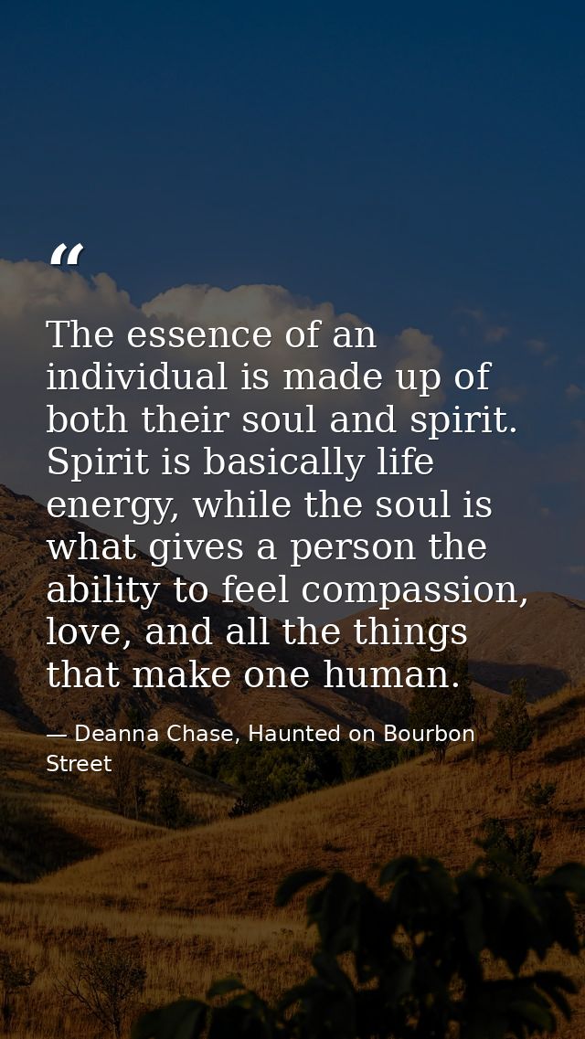The essence of an individual is made up of both their soul and spirit. Spirit is basically life energy, while the soul i — Deanna Chase, Haunted on Bourbon Street