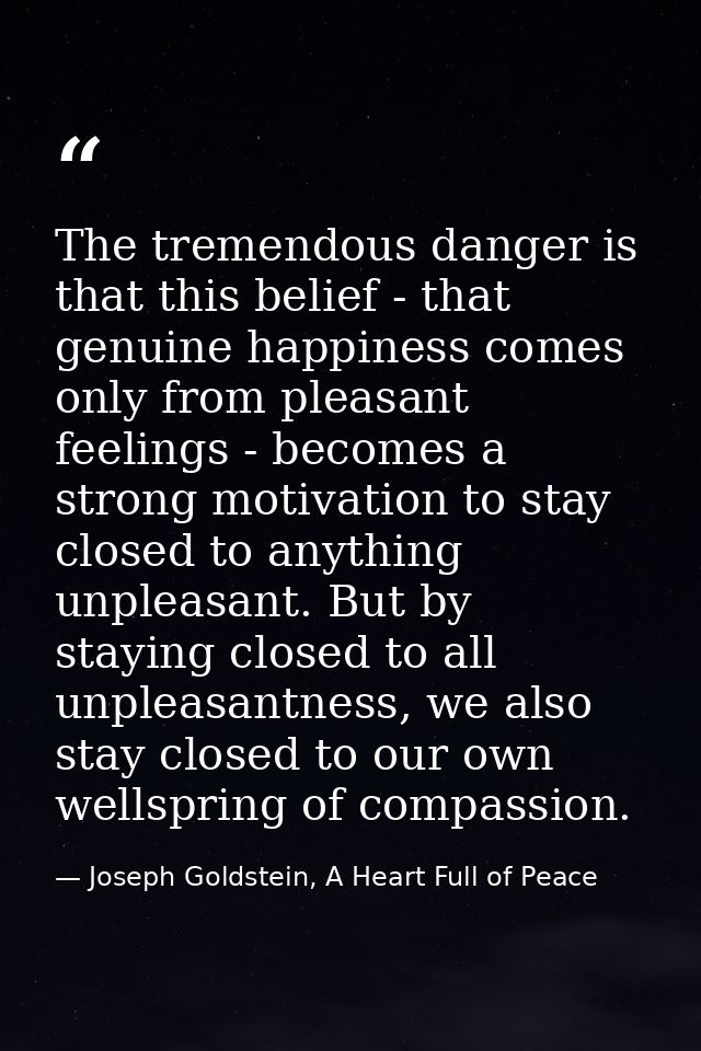 The tremendous danger is that this belief - that genuine happiness comes only from pleasant feelings - becomes a strong  — Joseph Goldstein, A Heart Full of Peace