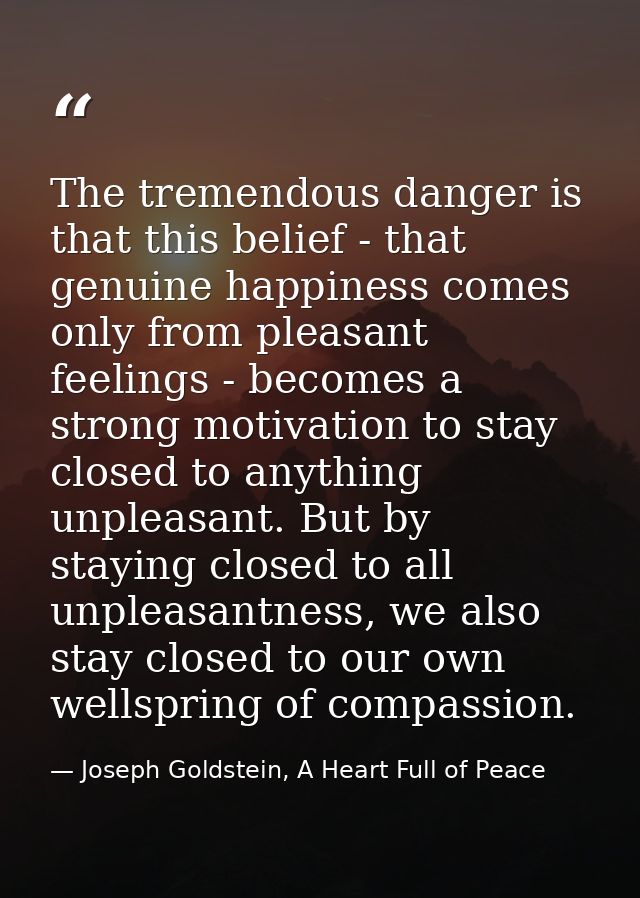 The tremendous danger is that this belief - that genuine happiness comes only from pleasant feelings - becomes a strong  — Joseph Goldstein, A Heart Full of Peace