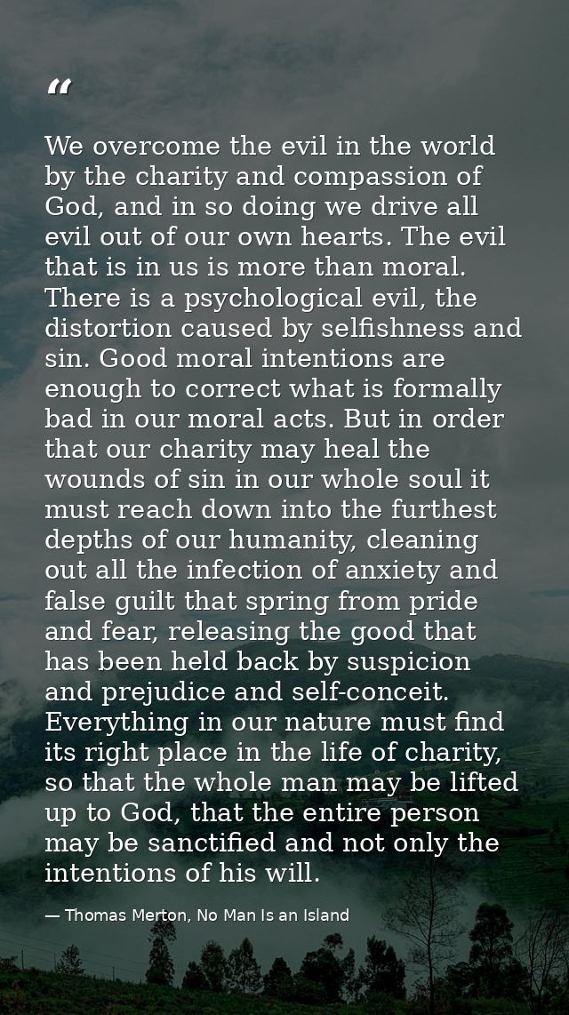 We overcome the evil in the world by the charity and compassion of God, and in so doing we drive all evil out of our own — Thomas Merton, No Man Is an Island