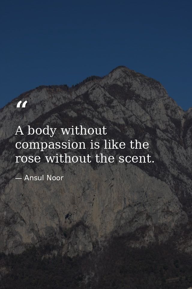 A body without compassion is like the rose without the scent. — Ansul Noor