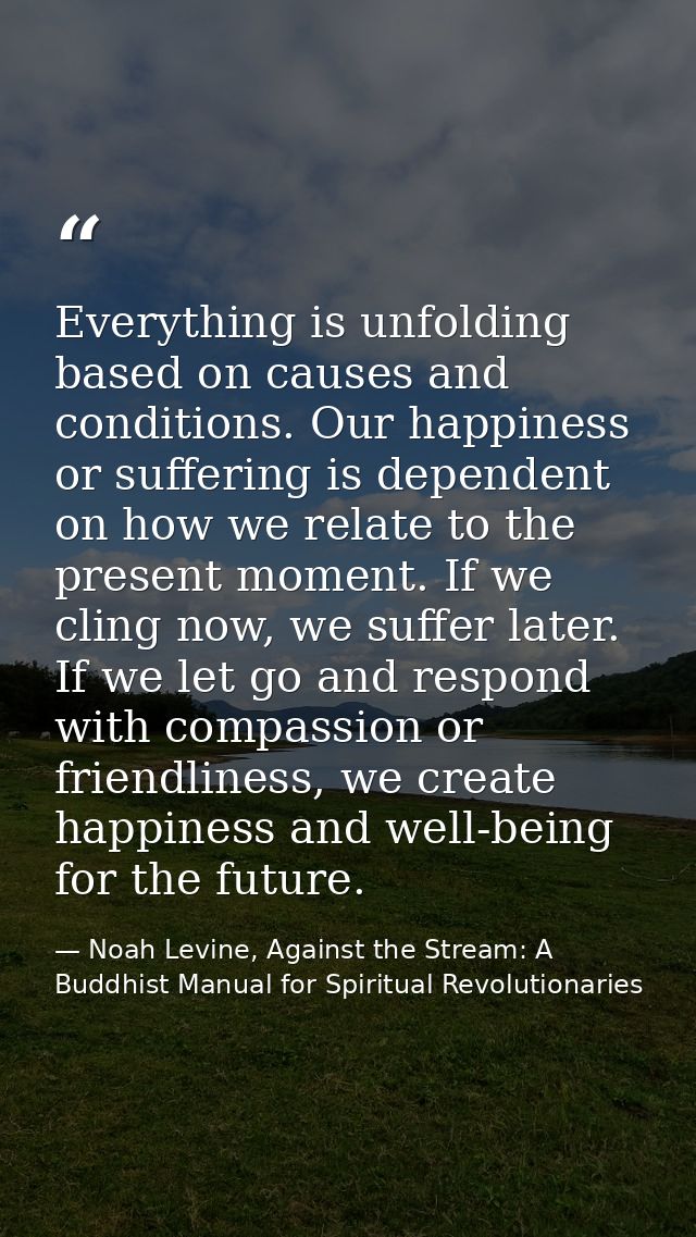 Everything is unfolding based on causes and conditions. Our happiness or suffering is dependent on how we relate to the  — Noah Levine, Against the Stream: A Buddhist Manual for Spiritual Revolutionaries