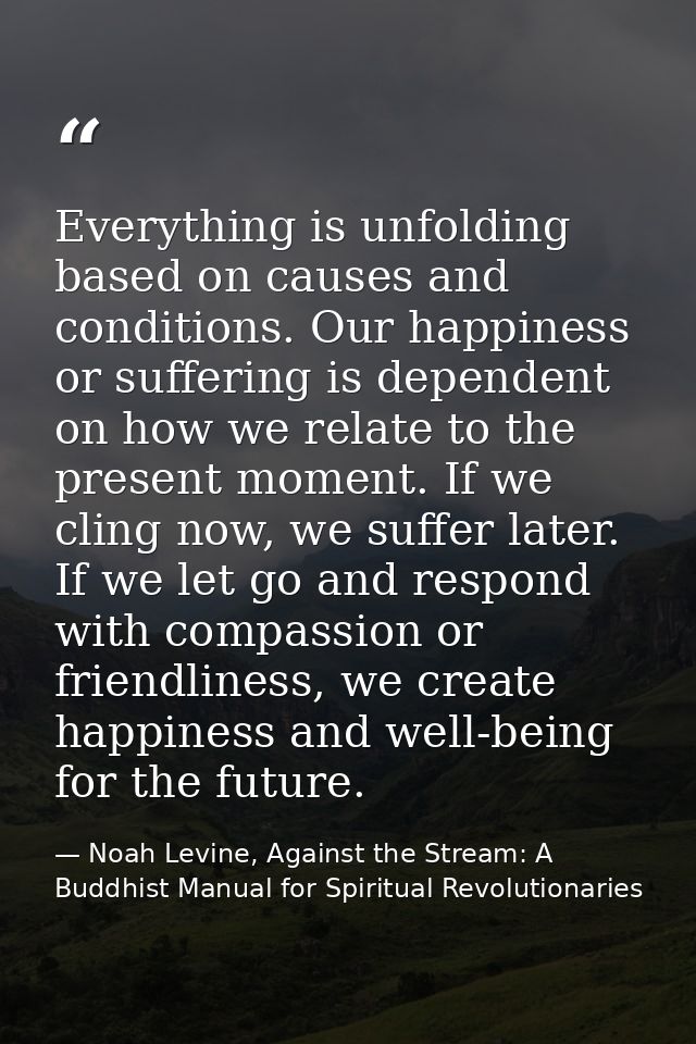 Everything is unfolding based on causes and conditions. Our happiness or suffering is dependent on how we relate to the  — Noah Levine, Against the Stream: A Buddhist Manual for Spiritual Revolutionaries