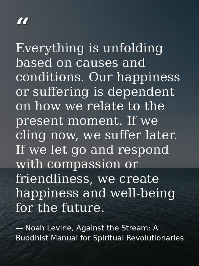 Everything is unfolding based on causes and conditions. Our happiness or suffering is dependent on how we relate to the  — Noah Levine, Against the Stream: A Buddhist Manual for Spiritual Revolutionaries