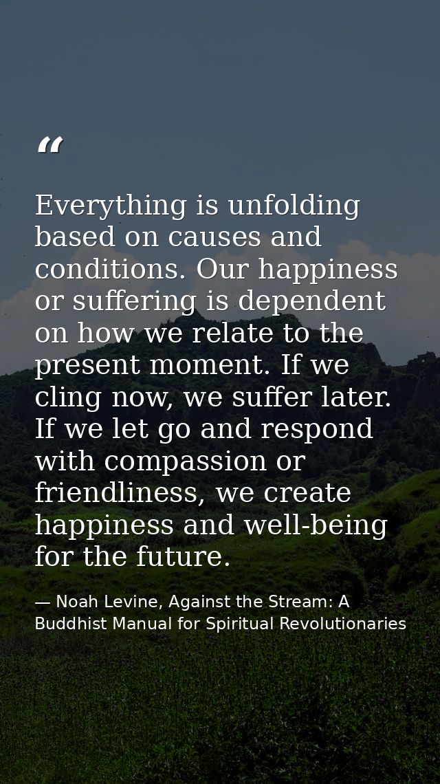 Everything is unfolding based on causes and conditions. Our happiness or suffering is dependent on how we relate to the  — Noah Levine, Against the Stream: A Buddhist Manual for Spiritual Revolutionaries