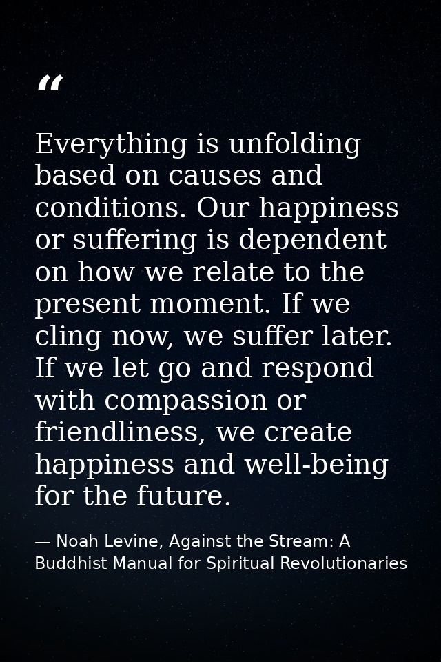 Everything is unfolding based on causes and conditions. Our happiness or suffering is dependent on how we relate to the  — Noah Levine, Against the Stream: A Buddhist Manual for Spiritual Revolutionaries