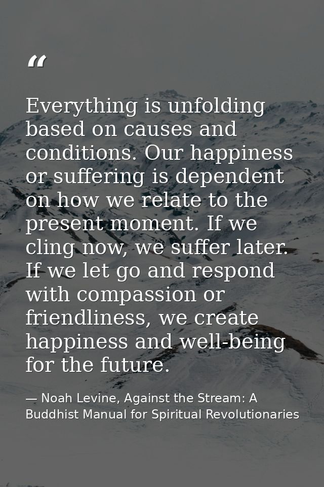Everything is unfolding based on causes and conditions. Our happiness or suffering is dependent on how we relate to the  — Noah Levine, Against the Stream: A Buddhist Manual for Spiritual Revolutionaries