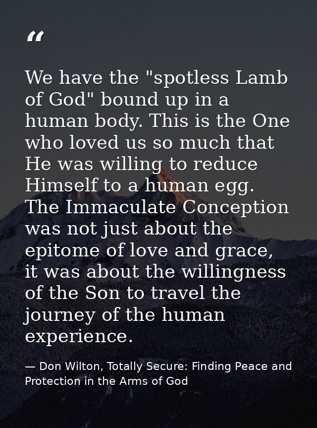 We have the "spotless Lamb of God" bound up in a human body. This is the One who loved us so much that He was willing to — Don Wilton, Totally Secure: Finding Peace and Protection in the Arms of God