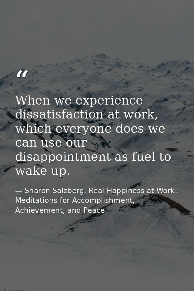 When we experience dissatisfaction at work, which everyone does we can use our disappointment as fuel to wake up. — Sharon Salzberg, Real Happiness at Work: Meditations for Accomplishment, Achievement, and Peace