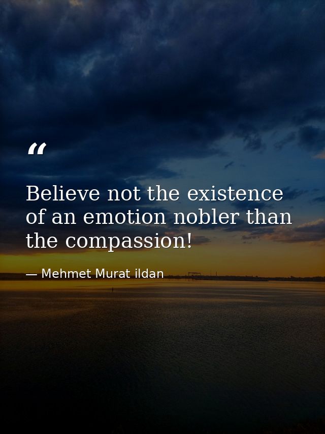 Believe not the existence of an emotion nobler than the compassion! — Mehmet Murat ildan