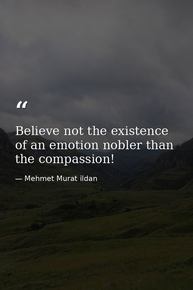 Believe not the existence of an emotion nobler than the compassion! — Mehmet Murat ildan